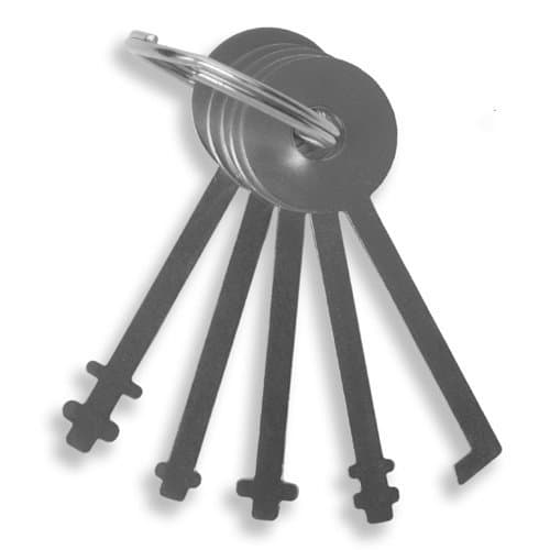 WP-10 SouthOrd Warded Pick Set