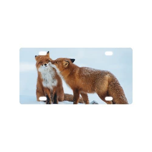 Car Tag for Fox Art Metal License Plate Frame (New) 12" X 6"