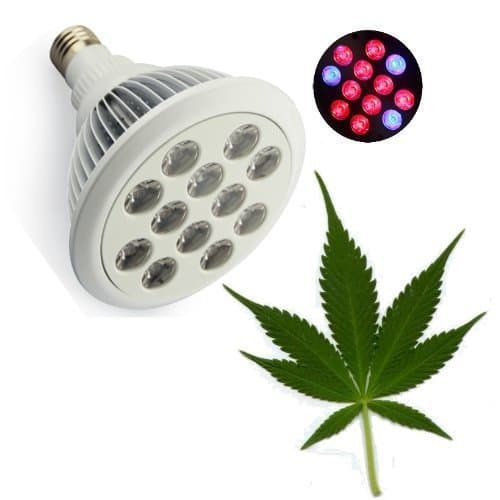 NEW Super Bright 36W Pot Wizard TM LED Grow Light for Bigger Stronger and Faster Herbal Harvest. This Light for More Buds