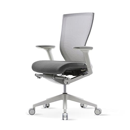 SIDIZ T30 Home & Office Multifunction Ergonomic Swivel Task Chair, Executive Chair, Gaming Chair (Grey)