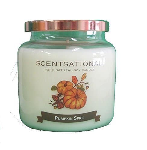 ScentsationalSoaps & Candles "Pumpkin Spice" Natural Soy Candle w/Lid 19 Oz