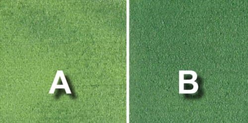 Concrete Stain Concentrate Just Add Water, User & Eco-Friendly Semi-Transparent Professional Grade Cement Stain, Concrete Resurrection Brand (32 Ounce, Golf Course)