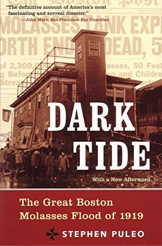 Dark Tide, Old Edition/Out of Print: The Great Boston Molasses Flood of 1919 Paperback – September 16, 2004