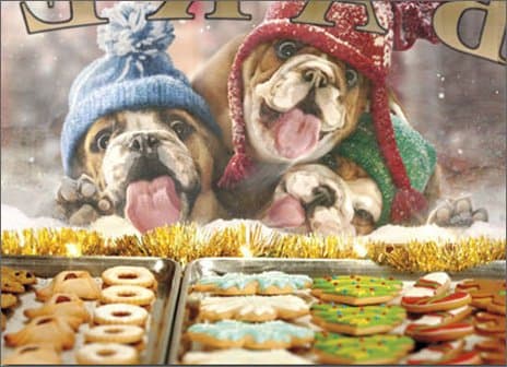 3 Christmas Dogs At Bakery Window - Box of 10 Avanti Funny Bulldog Christmas Cards