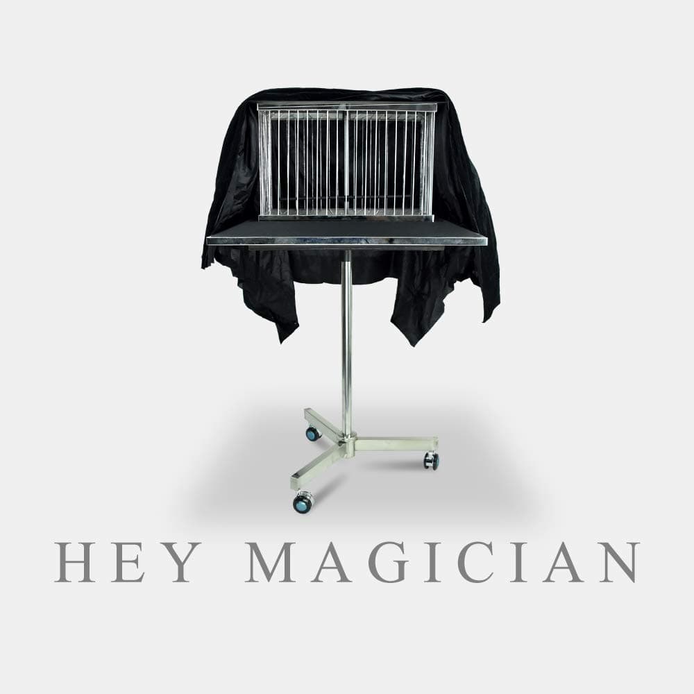 Vanishing Dove Cage Bird Cage Disappearing Table Magic Tricks Amazing Stage Magic Gimmick Illusions Props Comedy Magic Professional Magician Gimmick Magic Shows Magic Table Accessories