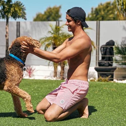 maamgic Mens Swim Trunks Quick Dry Swim Shorts with Mesh Lining Funny Swimwear Bathing Suits 7inch