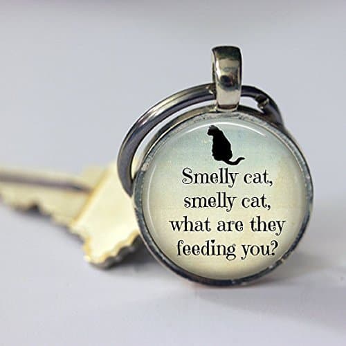 jianjinhandmade Key Chain,Smelly Cat, Friends Key Chain