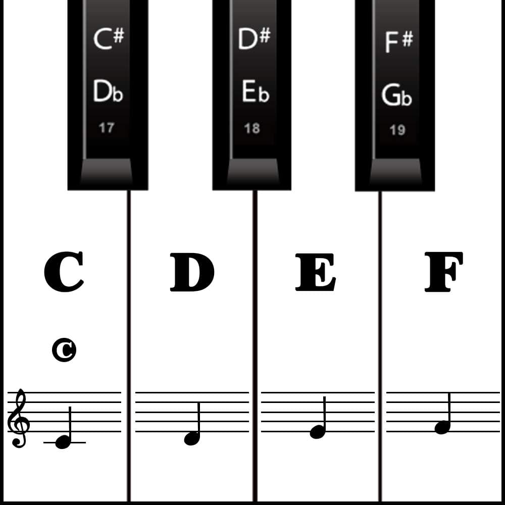 Piano Keyboard Stickers for 88/61/ 54/49 Key, Black Transparent Removable for kids Beginners (Black)