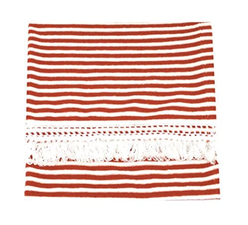 CushyChic Outdoors 38 x 68 Blanket Throw with Fringe in Tangier/White Stripe
