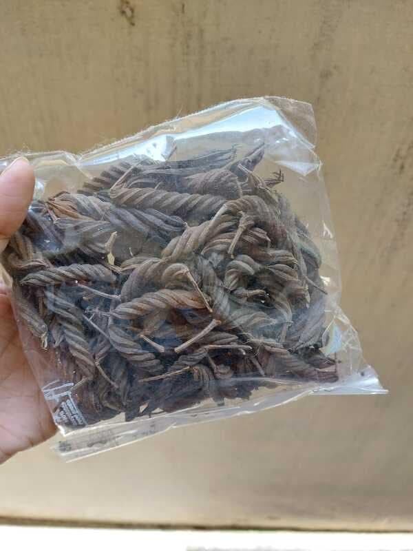 Valampuri Idampuri kaai 100g (Pack of 2) - Valampuri kai - Maroorphali - Indian Screw Tree - Yedamuri - ISO CERTIFIED - Sindinga9
