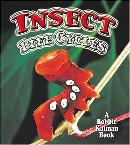 Insect Life Cycles (World of Insects)