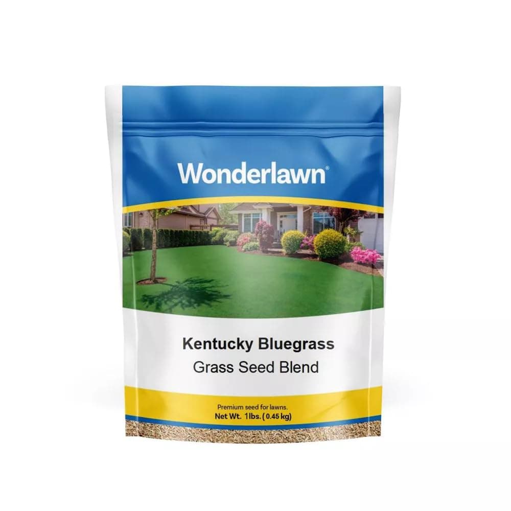 BARENBRUG USA TVKBG7 TV 7 lb Kentucky Bluegrass Seed
