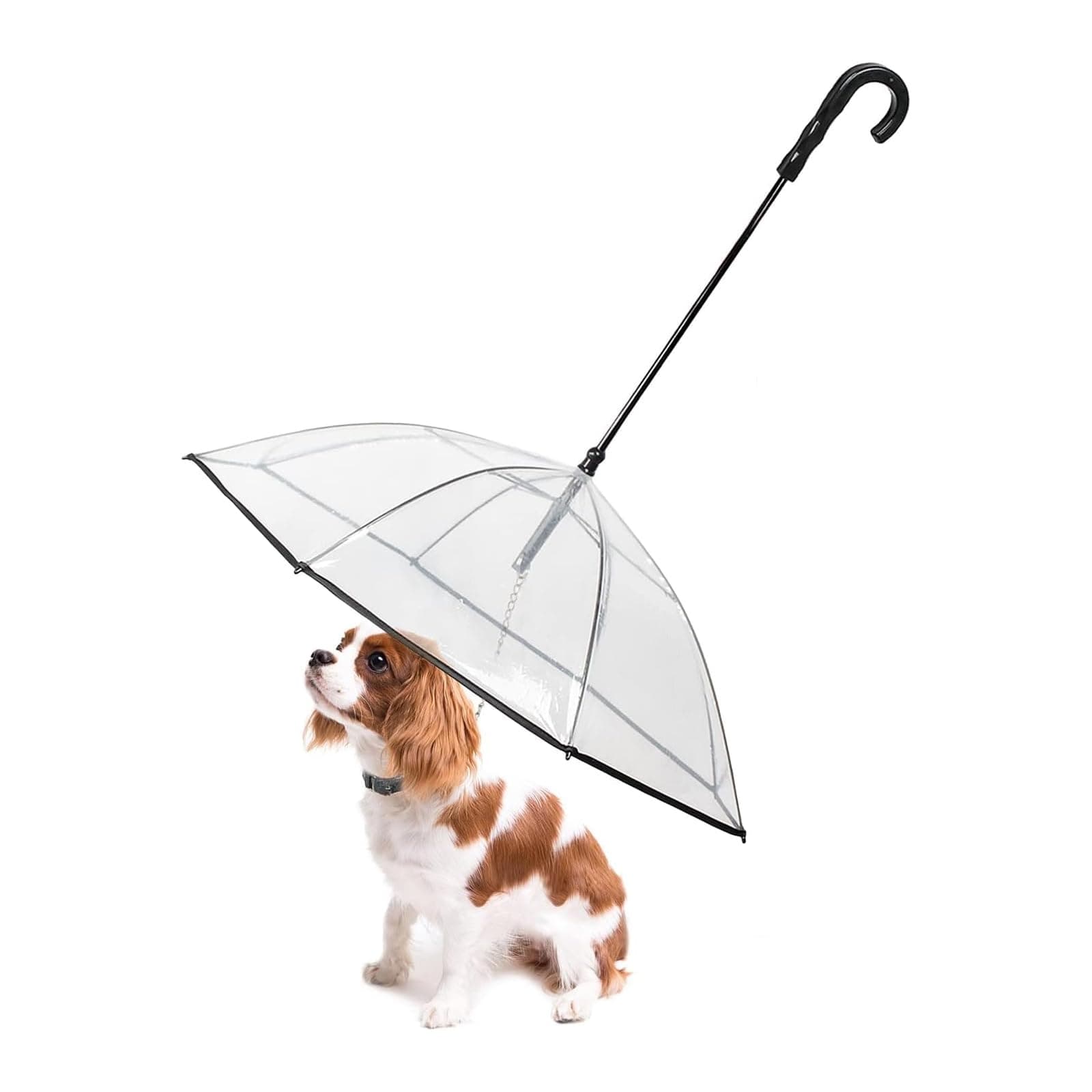Lesypet Dog Umbrella with Leash for Small Pets, Umbrella for Dogs Fits 20” Back Length Pets