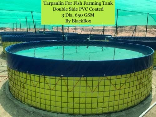 TCLPVC BioFloc 3m Dia 1.2m Height 650 GSM Fish Tank