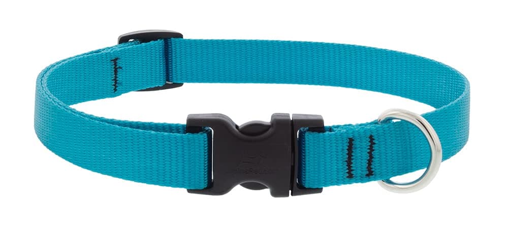 Lupine Basics 3/4 in Aqua Adj. Collar 13"-22", 34-55cm