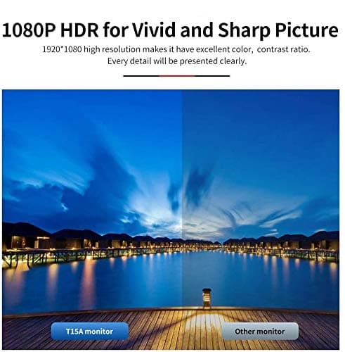 Portable monitor (Black 15.6)