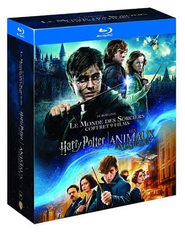 Harry Potter 8 Film Collection & Fantastic Beasts - 9-Disc Box Set ( Harry Potter and the Sorcerer's Stone / Harry Potter and the Chamber of Secrets / Harry Pott [ Blu-Ray, Reg.A/B/C Import - France ]