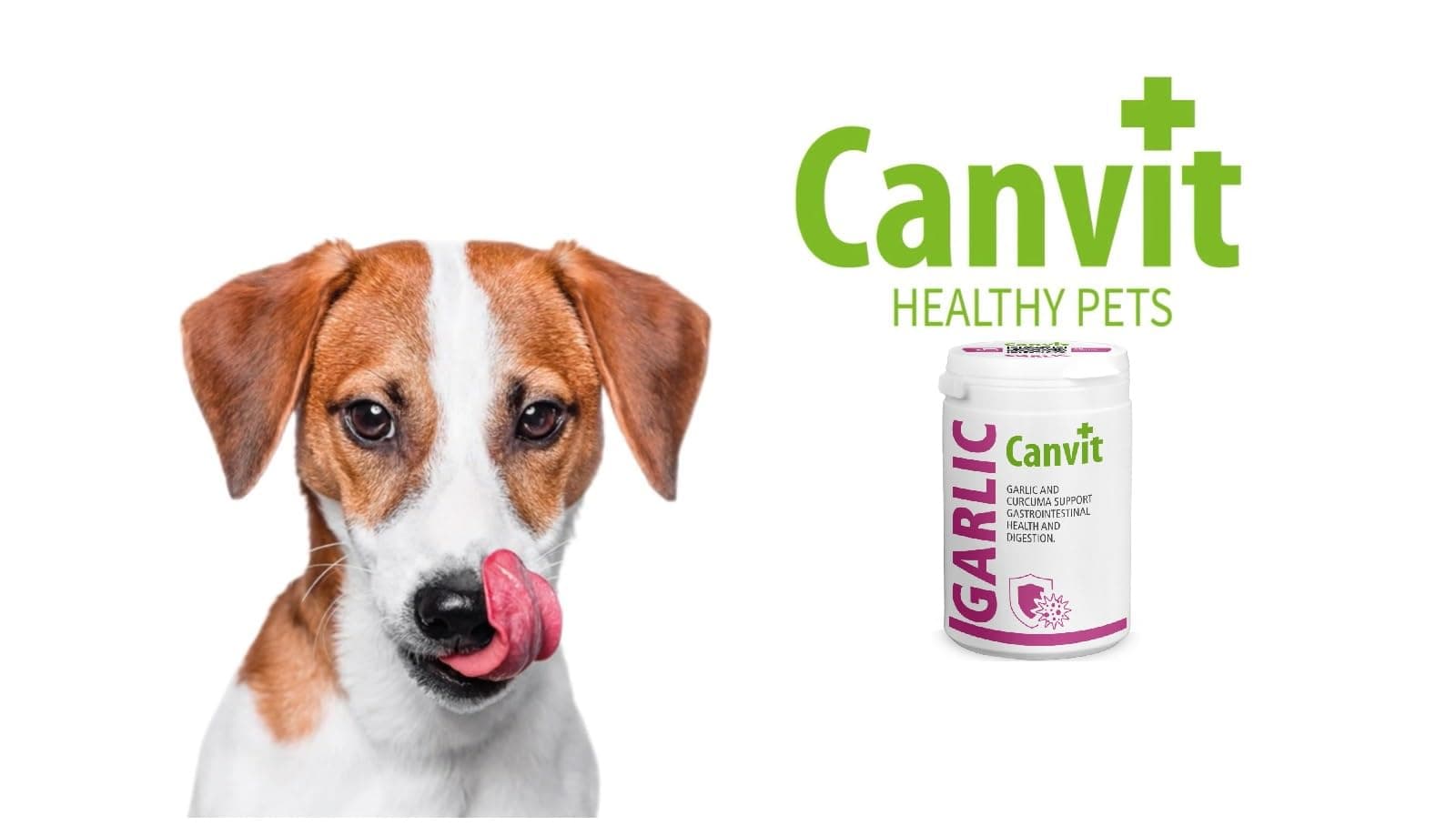 Canvit Garlic Tablets for Dogs & Cats | Dog Supplement with Curcuma Support | Immune Support for Dog | Vitiman B12 Gastrointestinal Health and Digestion Support | Garlic Tablets for Dogs & Cats 230g