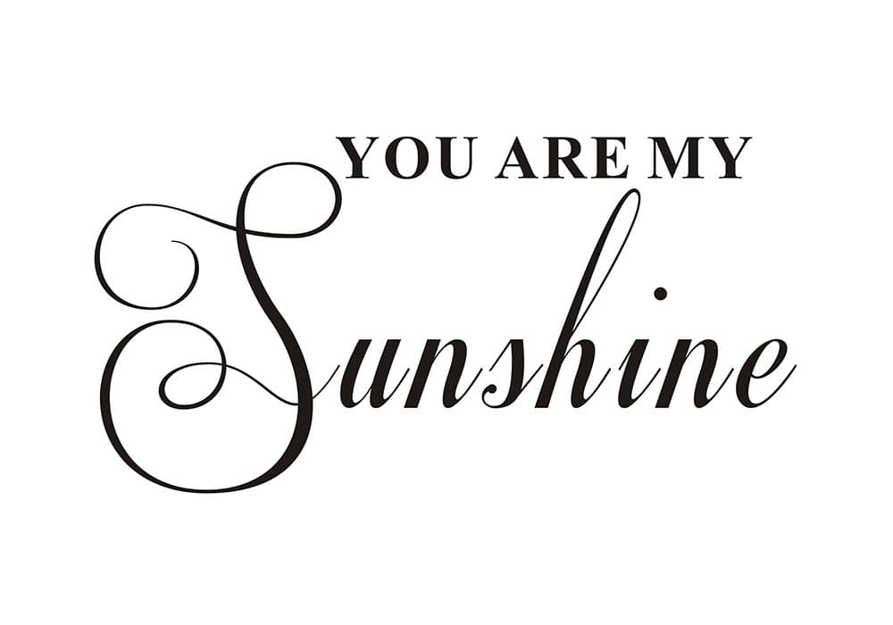 You are My Sunshine Home Family Bedroom Nursery Baby Kids Mural DIY Quote Vinyl Wall Sticker Decals Transfer Removable Lettering (Size1: 23.2" x 11.8")