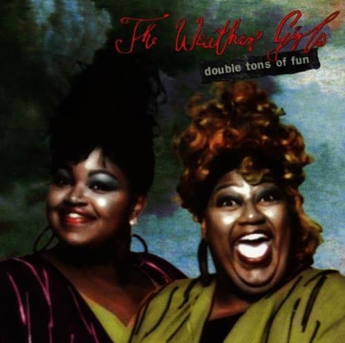 Weather Girls, The - Double Tons Of Fun - EastWest Records GmbH - 4509-94018-2 by The Weather Girls (1993-08-02)