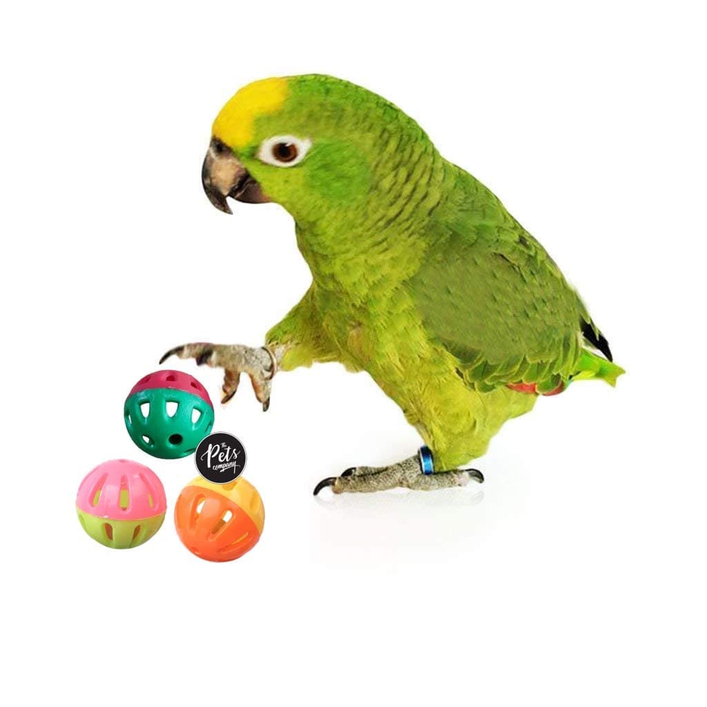 The Pets Company Bird Interactive Bell Ball, Bird Toy for Parakeet, Cockatiel, Budgerigar, Parrots, 1.5 Inches (Pack of 3)