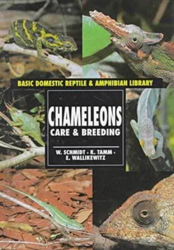 Chameleons: Care and Breeding (Basic Domestic Reptiles & Amphibians S.) Library Binding – Import, 1 May 1998