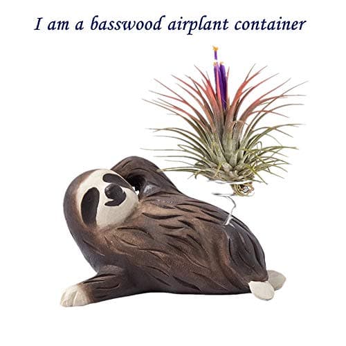 FattyBee Sloth Gift Handmade Wooden Sloth Holder Planters for Air Plant Home Office Bathroom Decoration