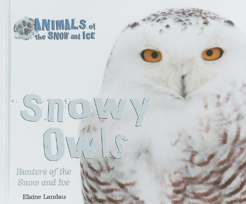 Snowy Owls: Hunters of the Snow and Ice (Animals of the Snow and Ice) Library Binding – Illustrated, January 16, 2010