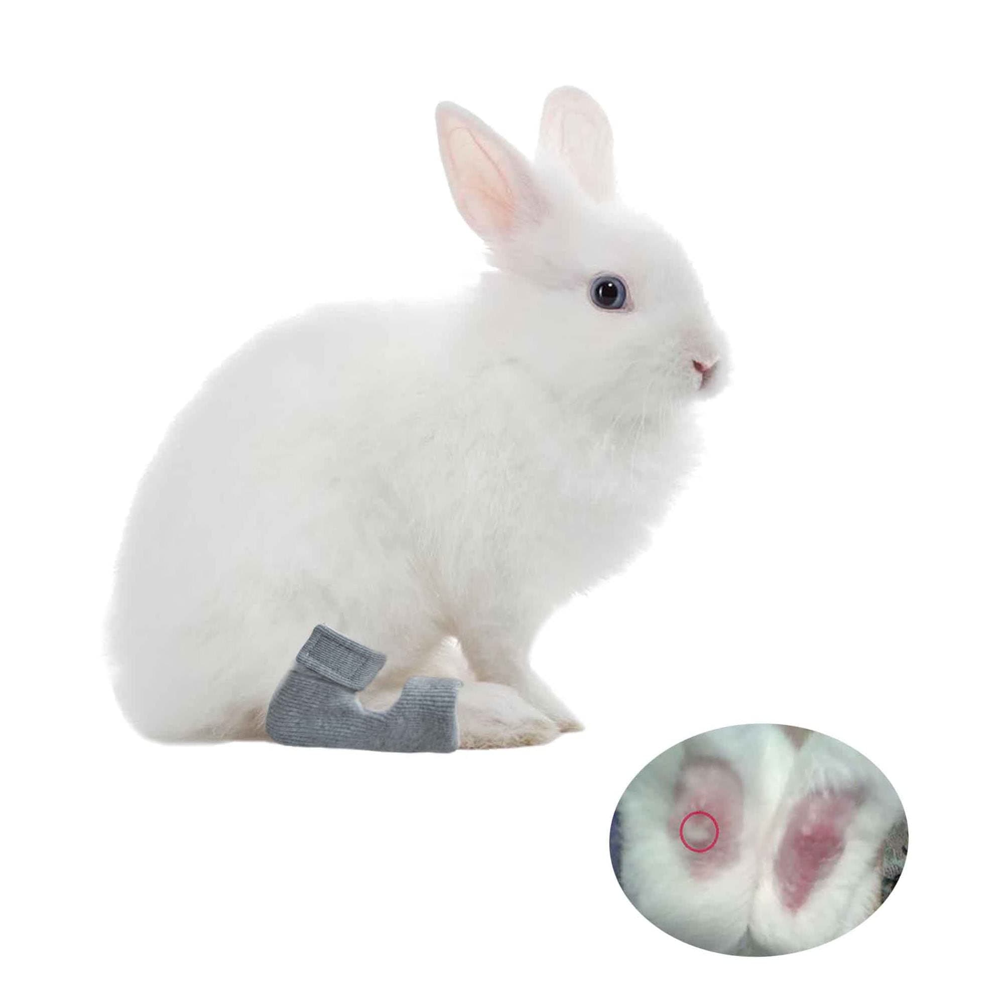 1 Pair Rabbit Socks for Sore Hocks Elbow Protective for Bunny Recovery and Relief Wound Pain