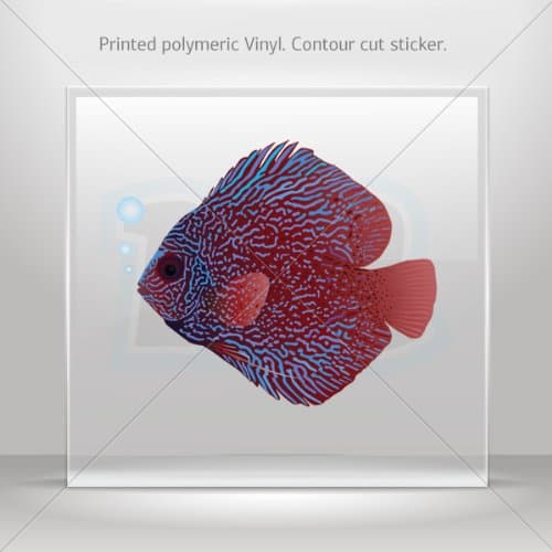 Stickers Sticker Aquarium Fish Disk Car door Hobbies Sports car Durable Racing Motorbikes 0500 RSXZE