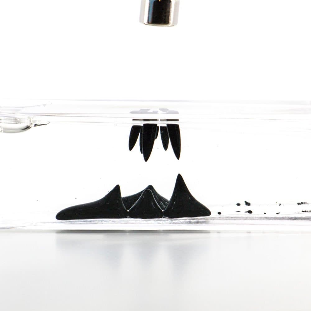 MOTION Magnetic Ferrofluid Desktop Display - Black (30ml)