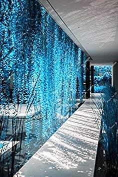 blue Pearl Chlorophytum Seeds Potted Plant Succulent Seeds Anti Radiation Particles 100 pcs/bag office desktop flowers,