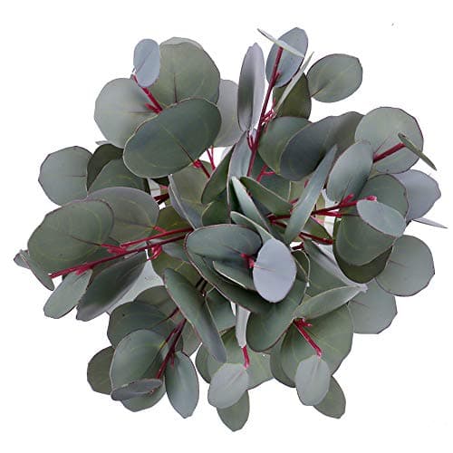 Greentime 8 Pack Artificial Eucalyptus Floral Stem Faux 13 Inches Greenery Silver Dollar Eucalyptus Leaves for Bridal Wedding Bouquet Home Greenery Holiday Greens Decor