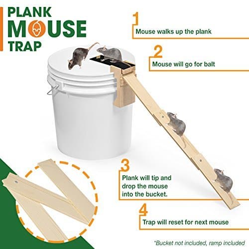 FABU Plank Mouse Trap from Oak Wood - RAMP Included - Walk The Plank Mouse Trap Auto Reset - Humane Bucket Rat Trap - Kill or Live Catch Mice & Other Pests & Rodents