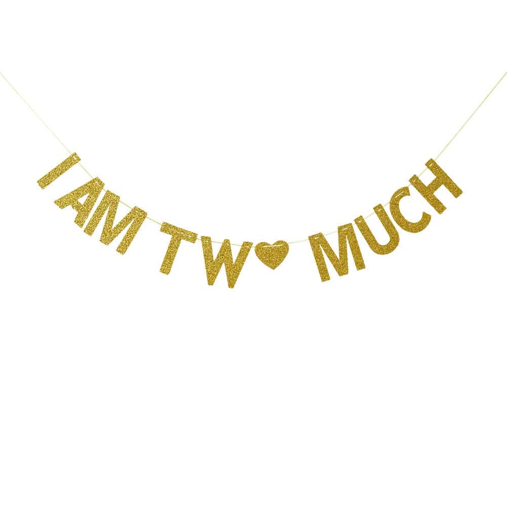 I Am Two Much Banner for 2nd Anniversary Birthday Party Decorations - Gold Glitter