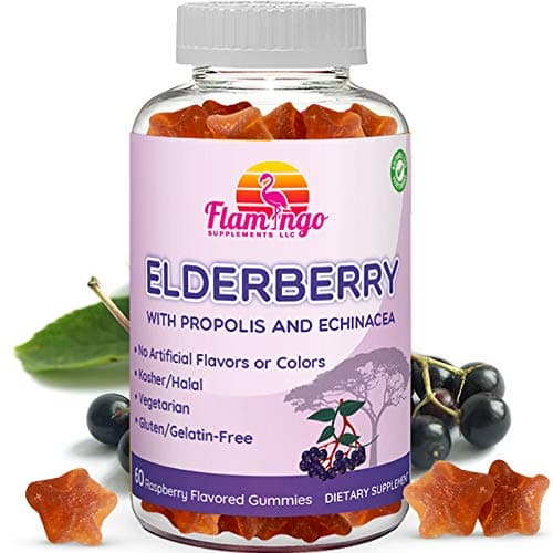 Elderberry Gummies Enhanced with Vitamin C, Propolis, Echinacea for Kids and Adults. No Gelatin - Kosher and Halal. Raspberry Flavor. 60 Count