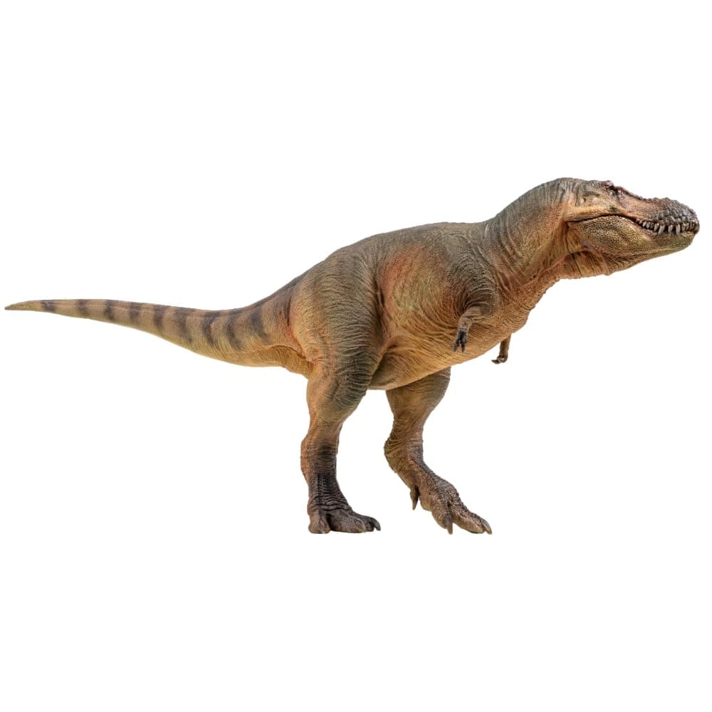 Prehistoric Dinosaur Models: (58 Luxiong The Zhuchengtyrannus)
