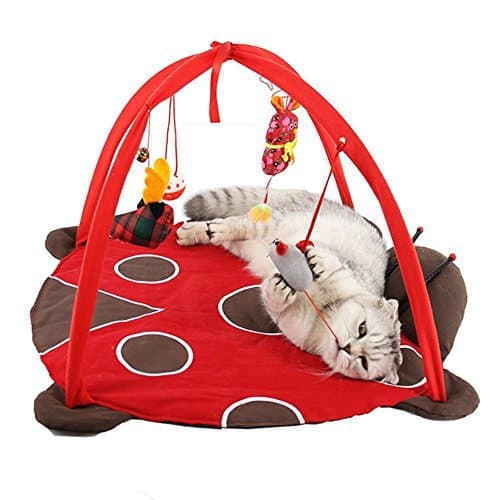 Cat Tent with Hanging Toys - Balls Mice & More Helps Cats Get Exercise and Stay Active, Best Cat Bed Tent Kitten Mat Pet Supplies (Lady Beetle)