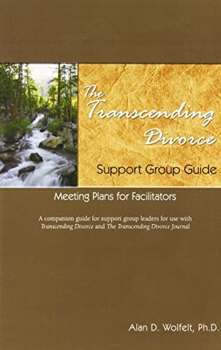 The Transcending Divorce Support Group Guide: Guidance and Meeting Plans for Facilitators Paperback – August 1, 2010