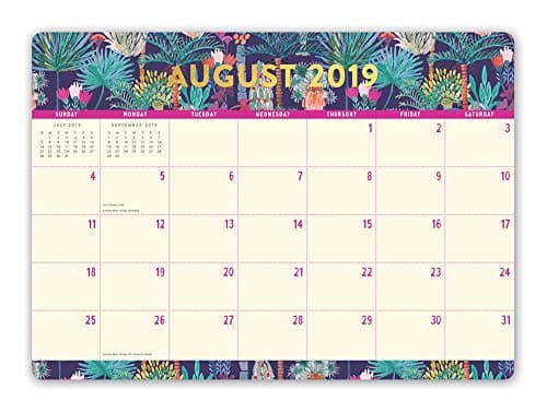 Orange Circle Studio 2020-2021 Calendar Desk Blotter for Home and Office, Decorative Desk Pad 17 Month Calendar Planner 18.75" x 13. 5", Botanicals
