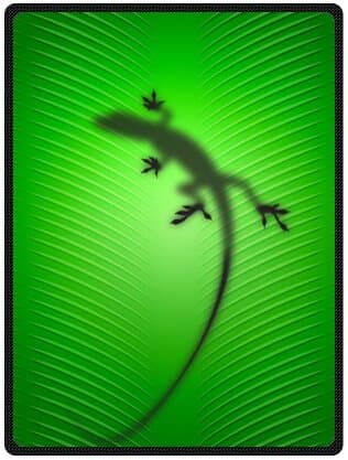 Custom Reptile gecko lizard 58 inches x 80 inches (Large) soft Fleece Blanket