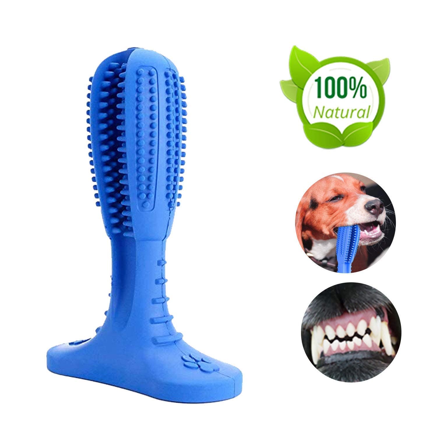 KORIER Dog Chew Toothbrush - 2019 Upgraded Dog Toothbrush Toy - Safe, Non-Toxic and Durable Dog Toothbrush Stick - Best Dog Toothbrush