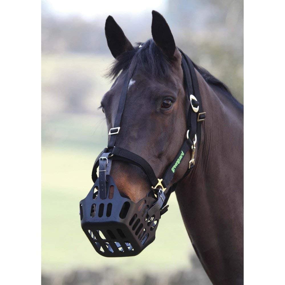 Padded Velcro Breakaway Safety Halter for GreenGuard Equine Grazing Muzzle - Horse, Pony, Mini, Donkey