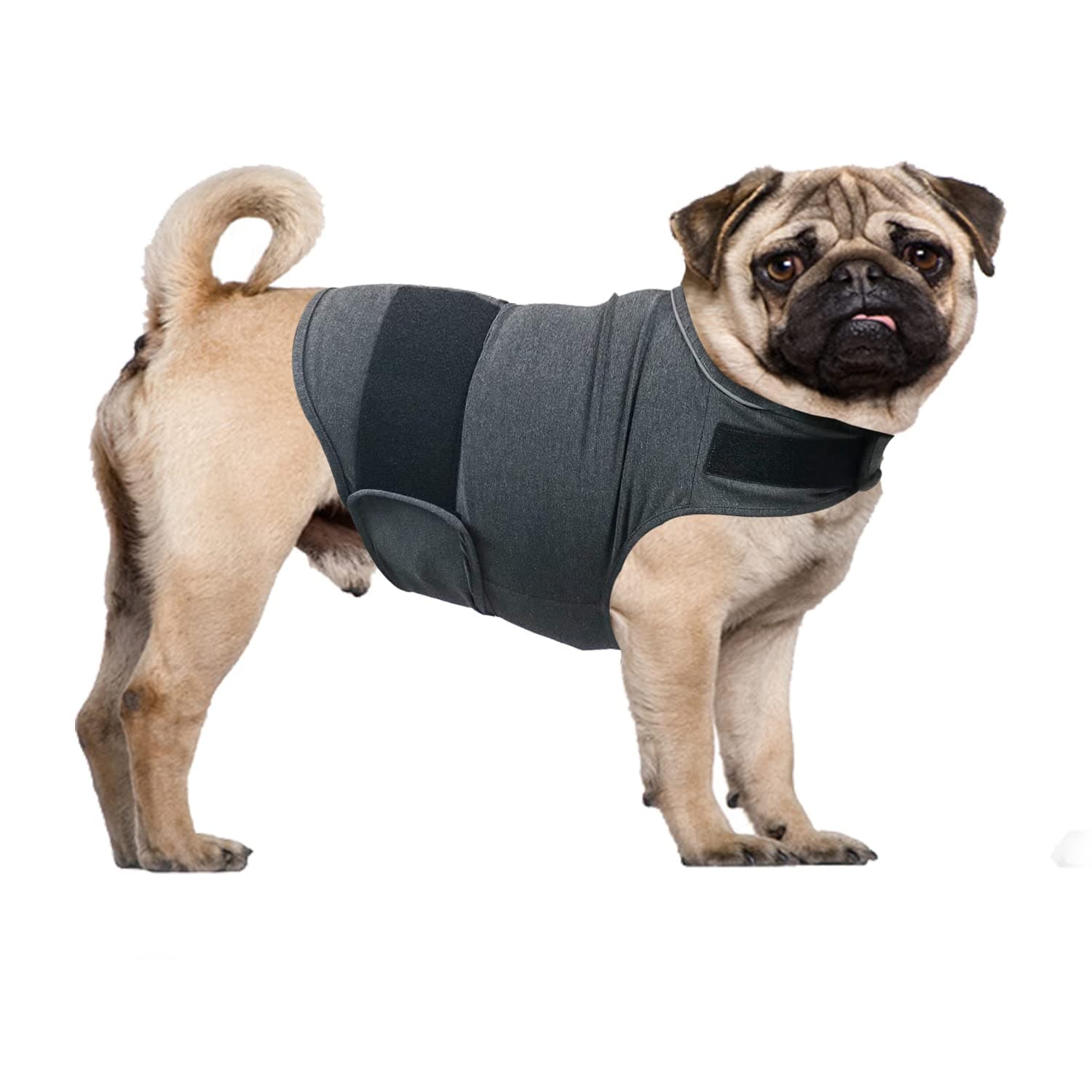 Dog Anxiety Relief Shirt, Adjustable Anxiety Coat Jacket for Fireworks, Thunderstorm, Travel, Separation, Calming Vest Wrap for Small Medium Large Dogs (M)