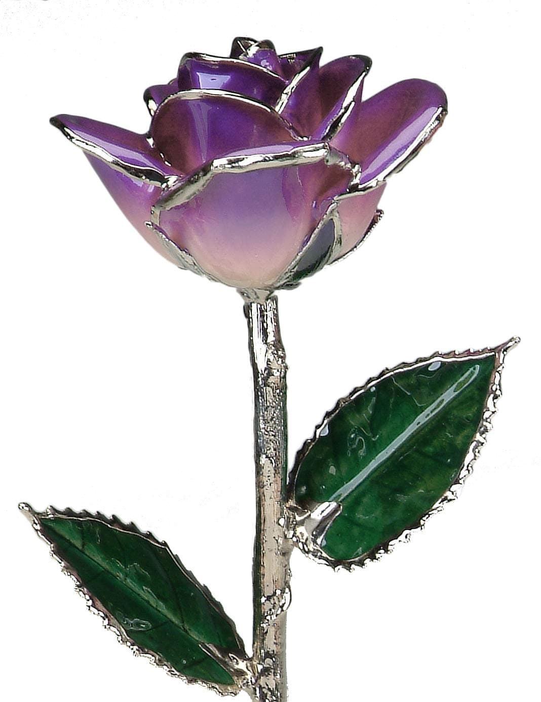 Allmygold11" 2-Tone Purple Platinum Dipped Real Rose