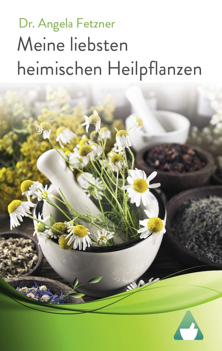 Meine liebsten heimischen Heilpflanzen (German Edition)