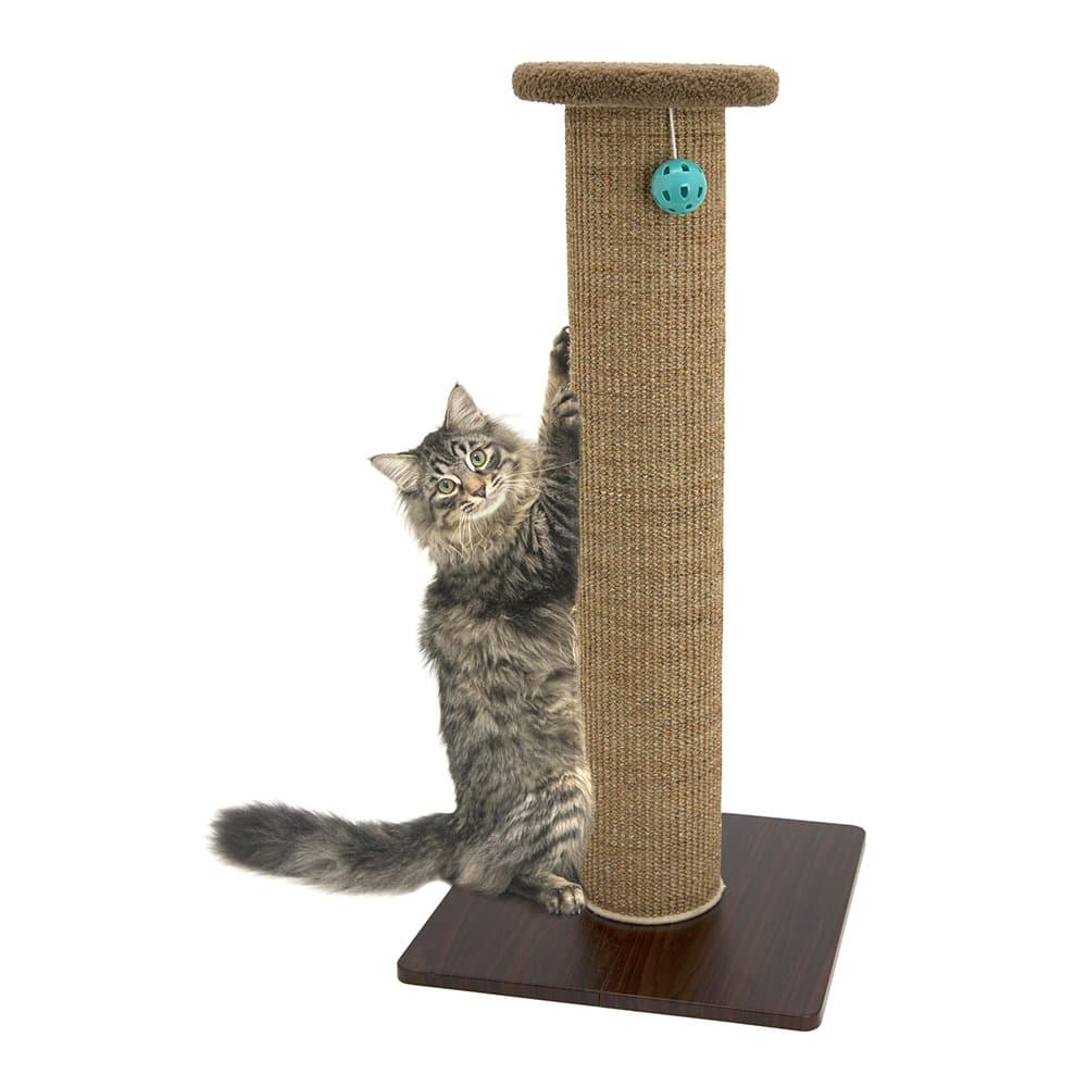 Premium Scratching Post
