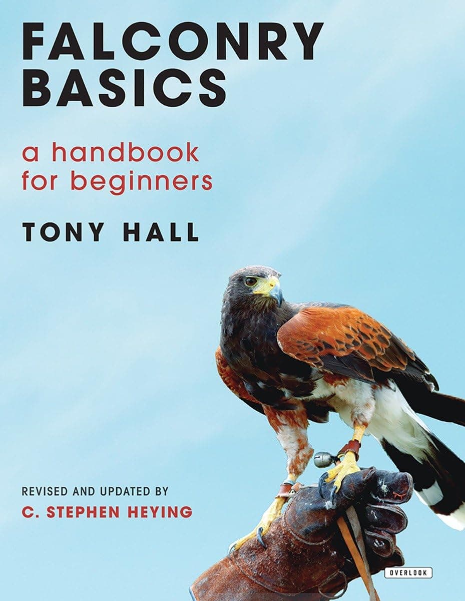 Falconry Basics: A Handbook for Beginners Hardcover – September 12, 2017