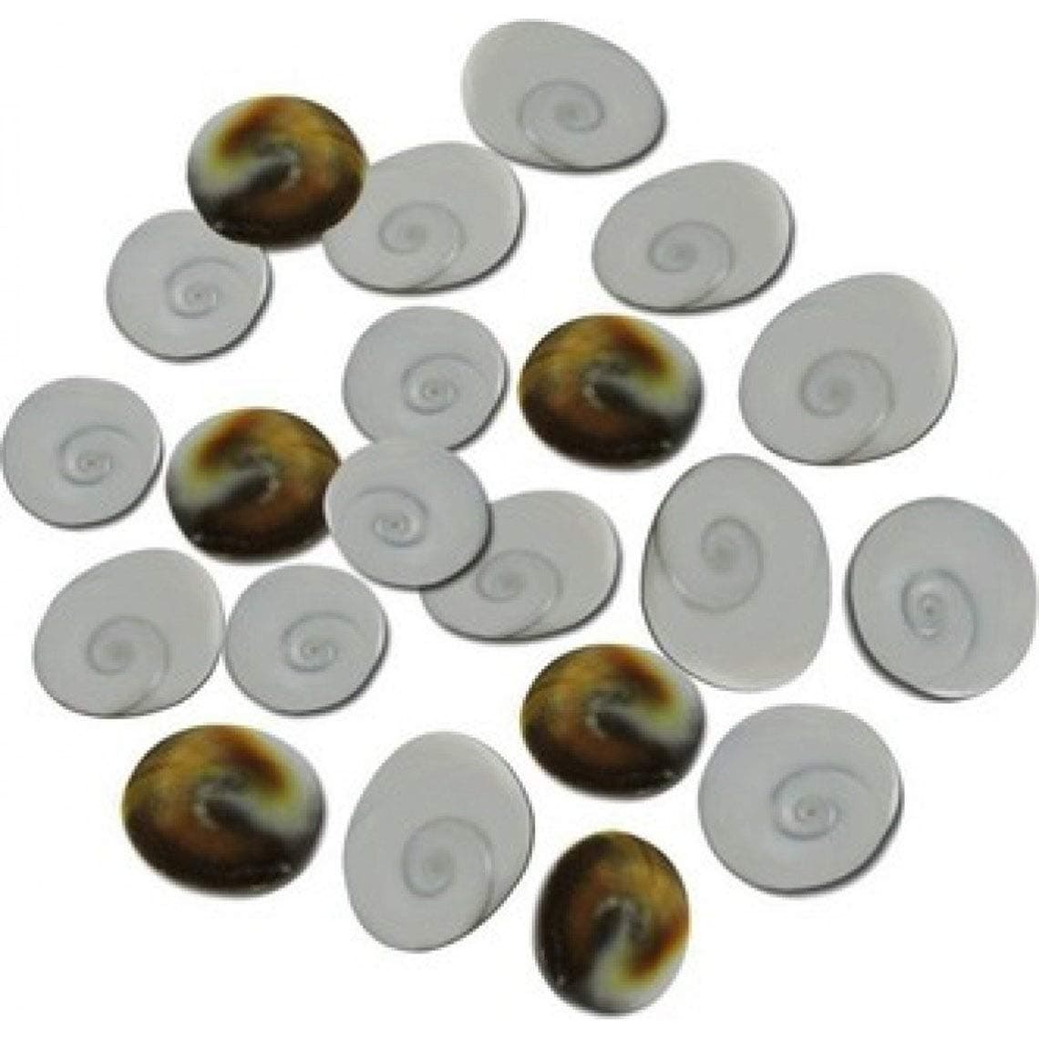 Natural Gomti Chakra / Shell Stones for Wealth & Puja Use (100)