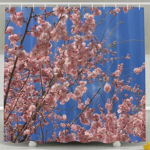 Xiaobaby Apricot Blossom In Bloom Blue Sky Tree Branch Almond Blossom Almond Tree Pink Spring Funny Shower Curtain 6072inch